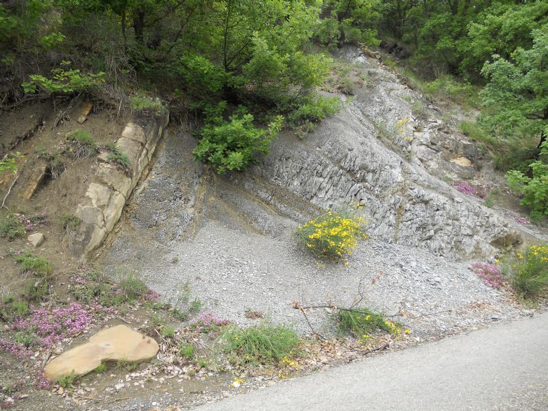 Formazione di Monte Venere